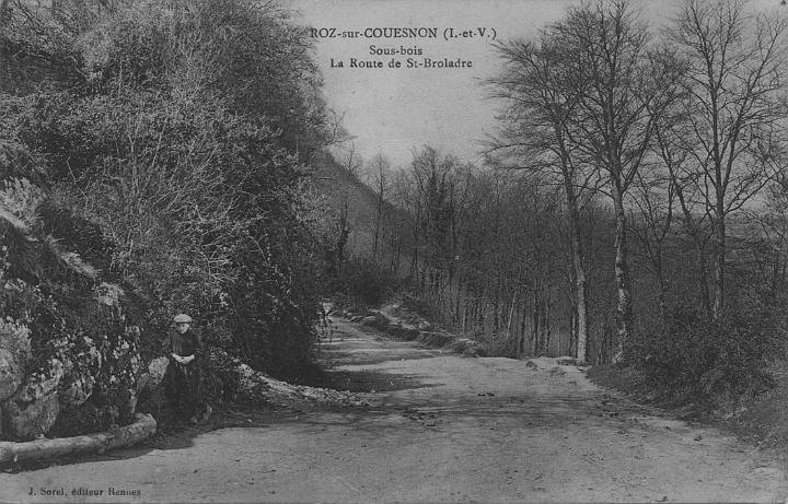 roz-sur-couesnon_sorel sous bois.jpg